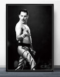 Posters and Prints Freddie Mercury Queen Musician Rock Band Legendary Pop Star Poster Wall Art Canvas Painting Room Home Decor